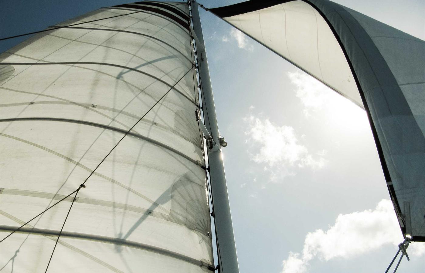 Portret membru echipă