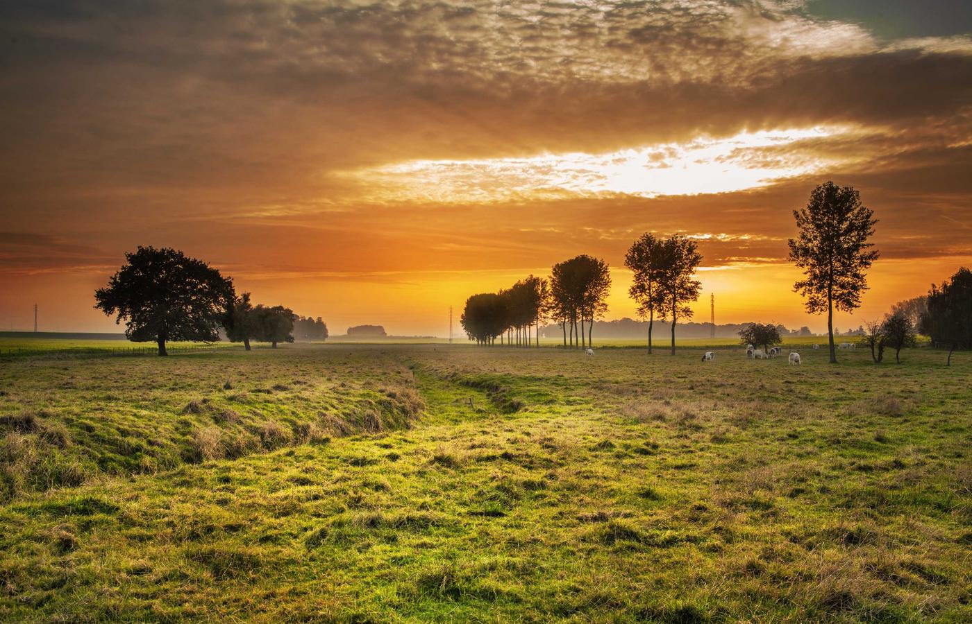 Portret membru echipă